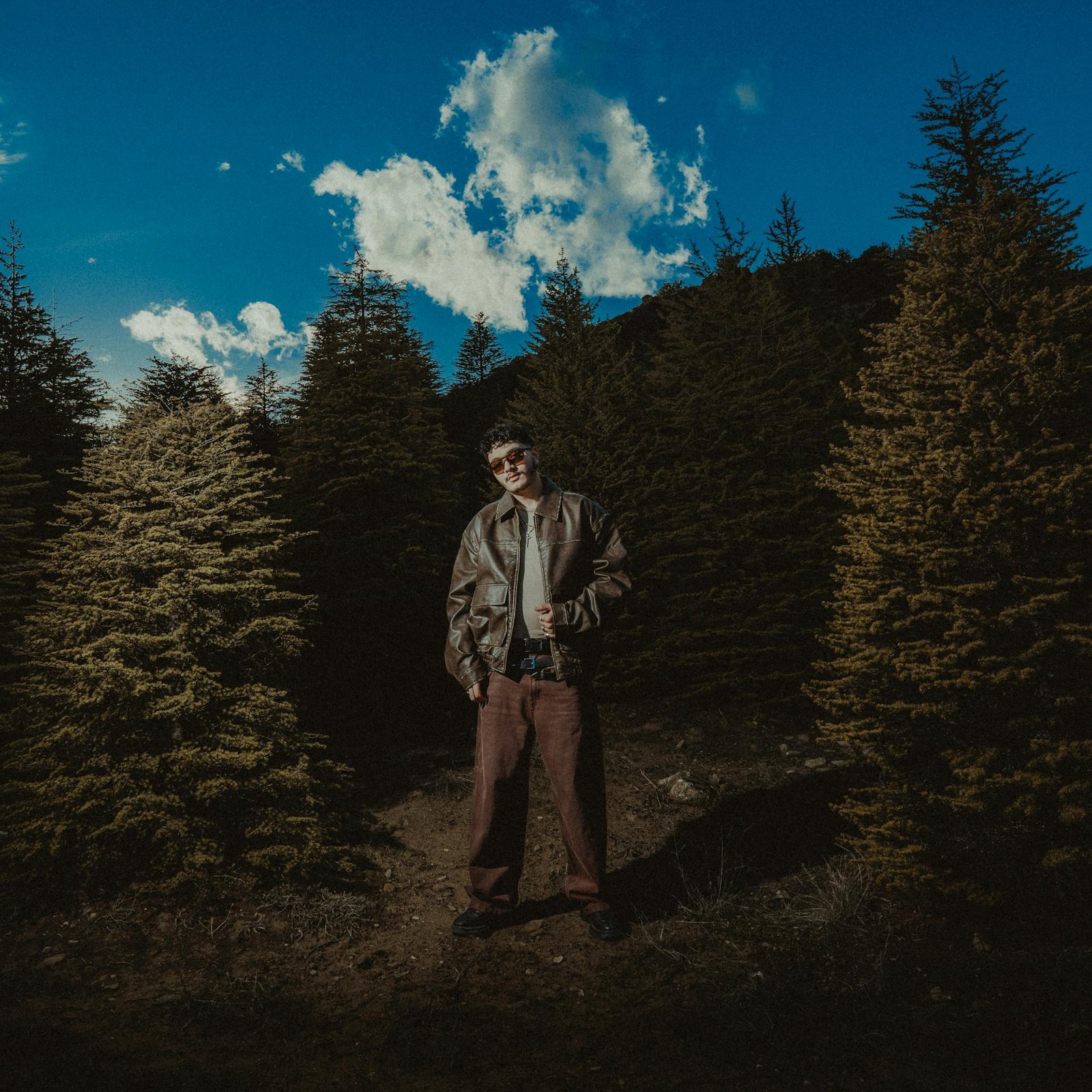 pexels-kayaartss-30089256